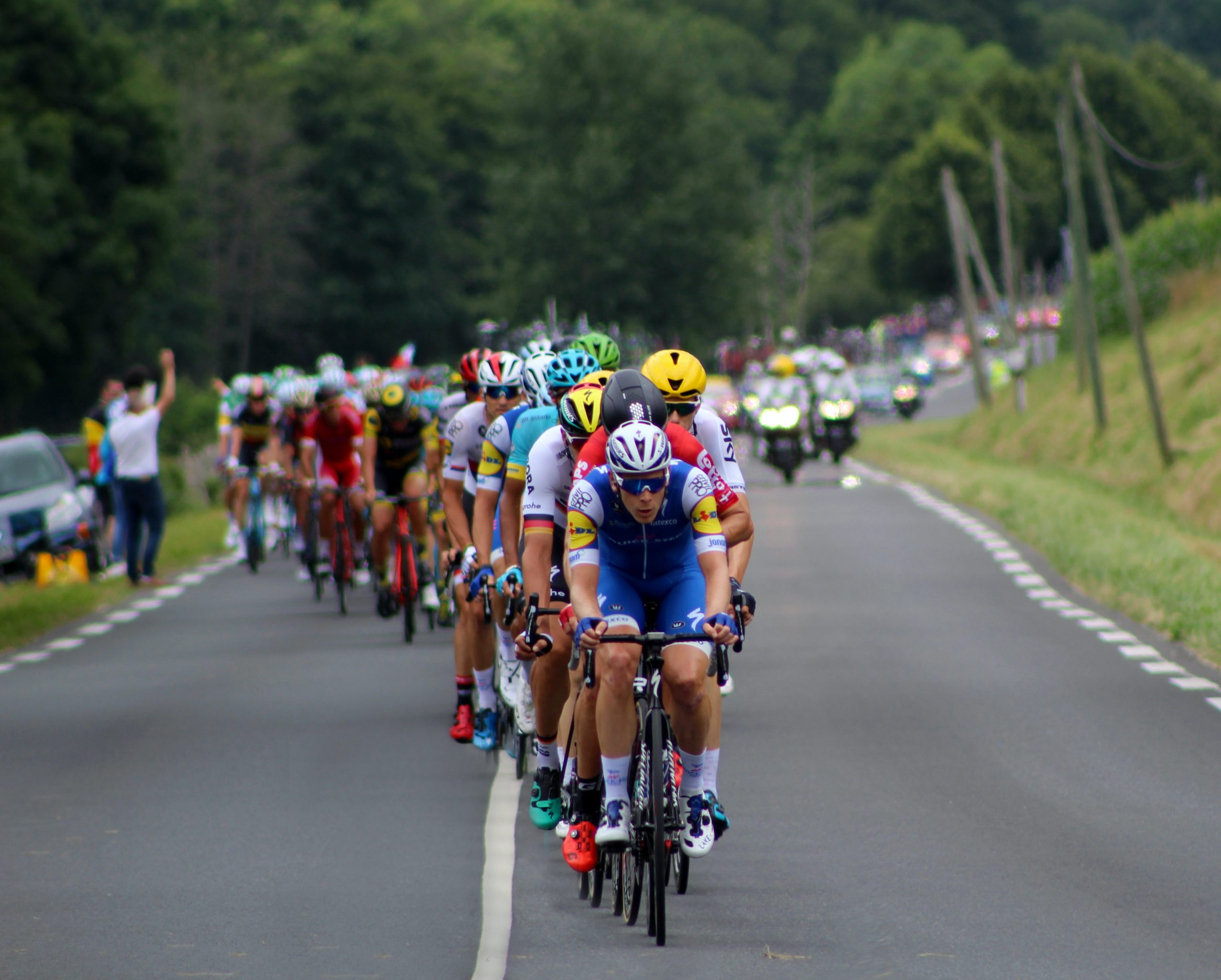 cyclists on the road